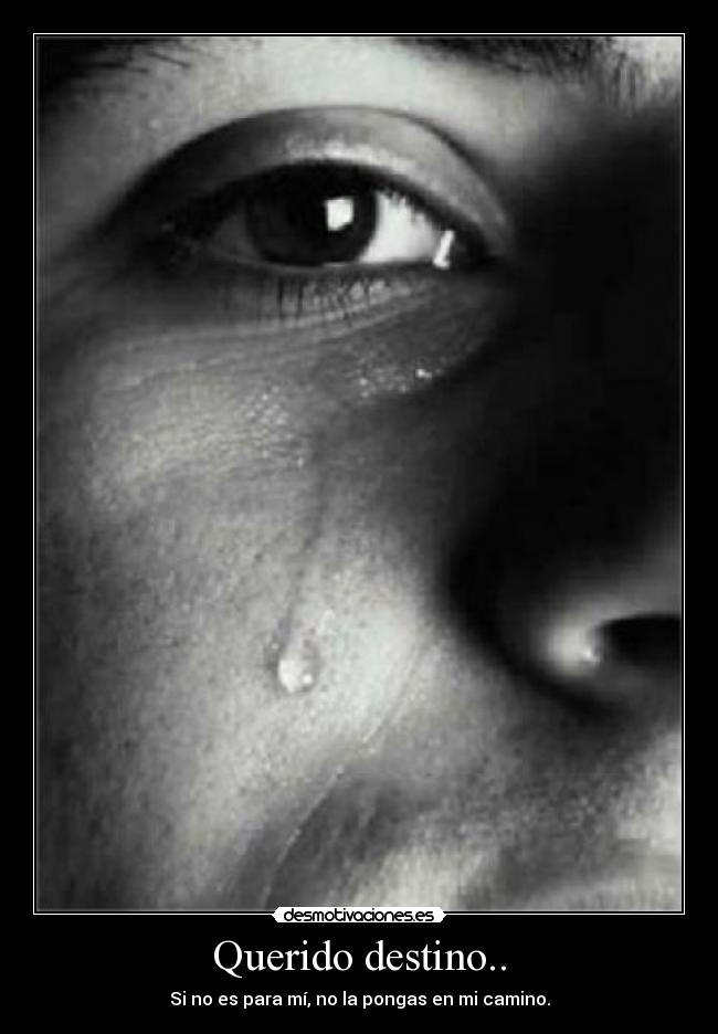 Querido destino.. - Si no es para mí, no la pongas en mi camino.