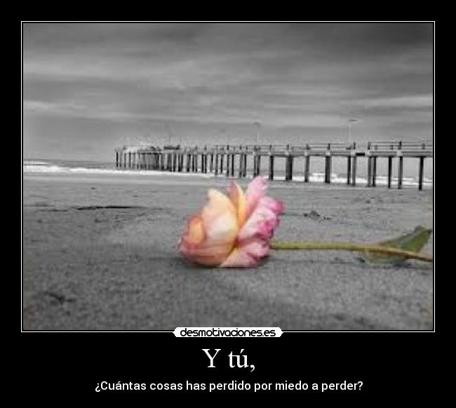 Y tú, - ¿Cuántas cosas has perdido por miedo a perder?