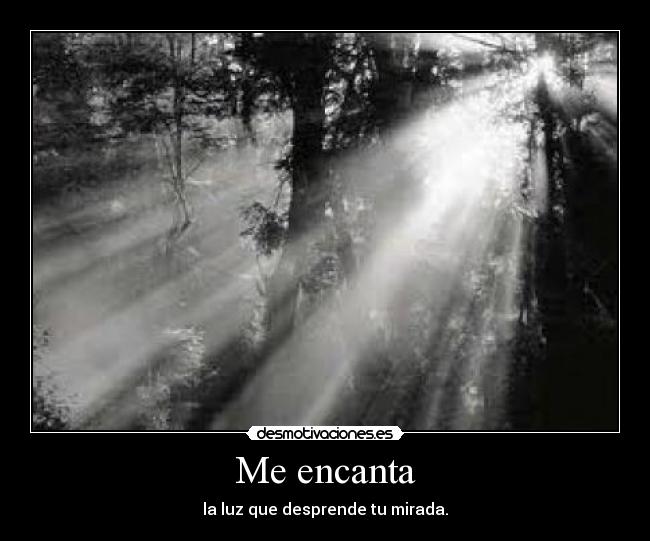 Me encanta - la luz que desprende tu mirada.