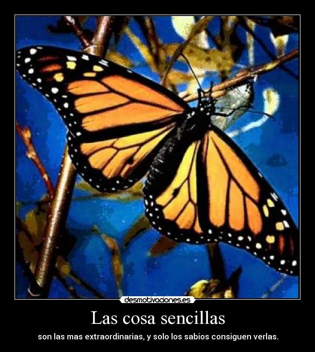 Las cosa sencillas - 