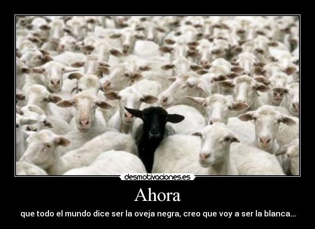 Ahora - que todo el mundo dice ser la oveja negra, creo que voy a ser la blanca...