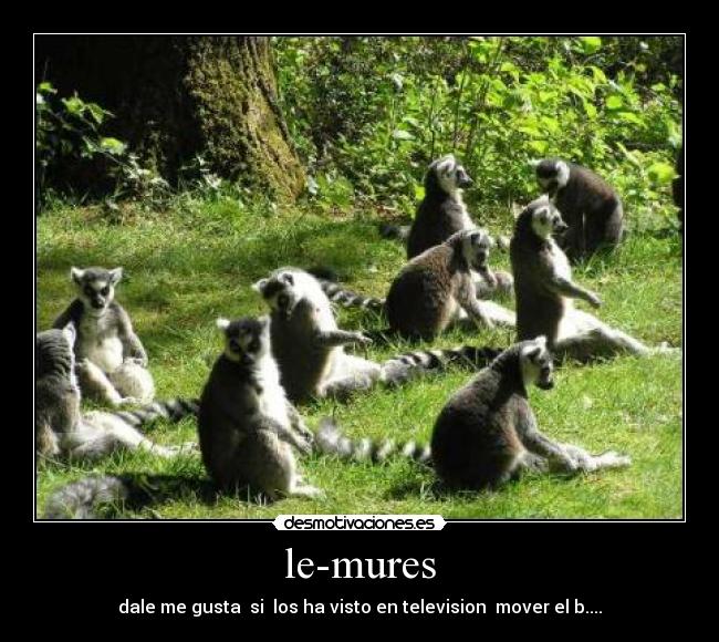 le-mures - dale me gusta si los ha visto en television mover el b....