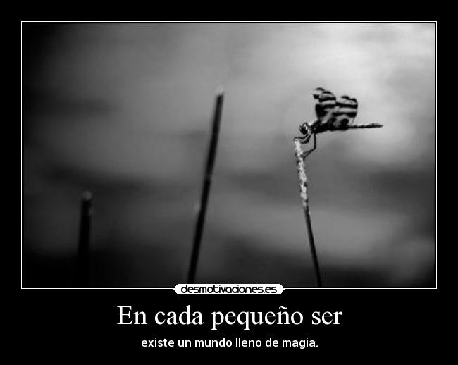 carteles dreadk molaba mas principaaaaaaaaal desmotivaciones