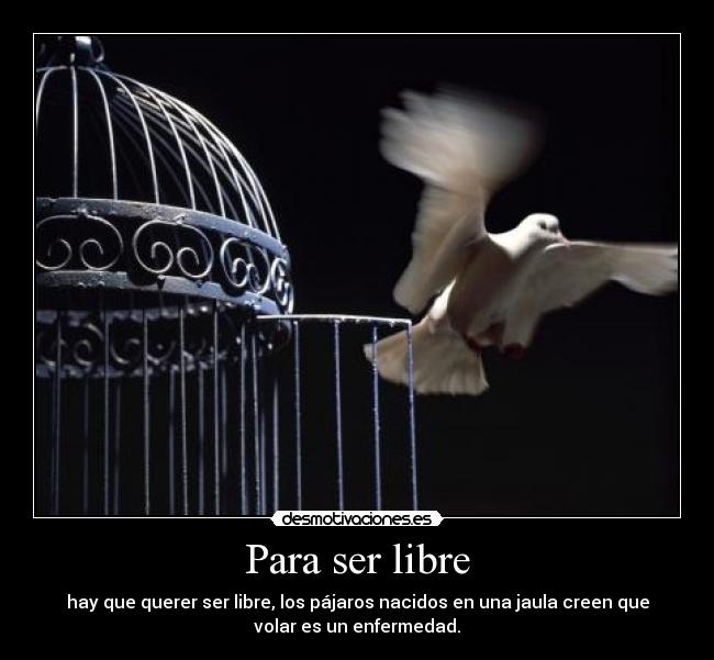 Para ser libre - hay que querer ser libre, los pájaros nacidos en una jaula creen que
volar es un enfermedad.