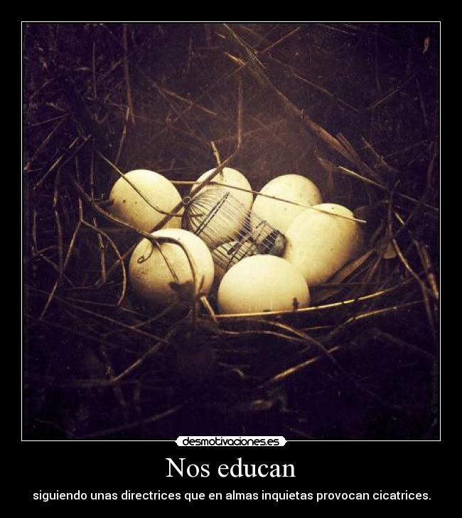 Nos educan -