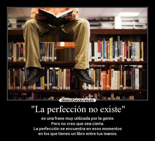 La perfección no existe -