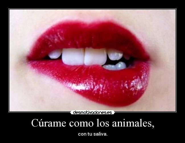 Cúrame como los animales, - con tu saliva.