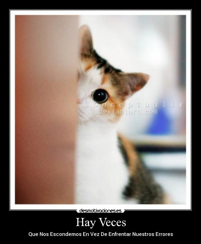 Hay Veces - Que Nos Escondemos En Vez De Enfrentar Nuestros Errores
