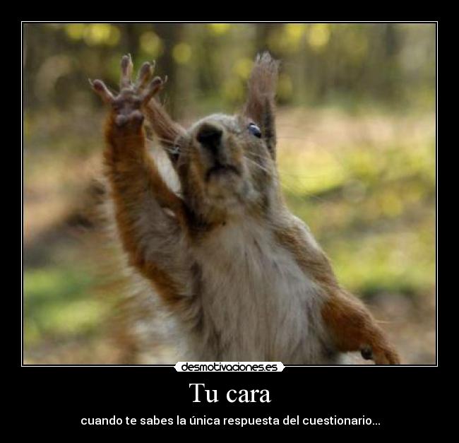 carteles yooooooooooo profe desmotivaciones