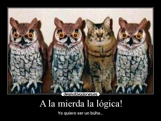 A la mierda la lógica! -
