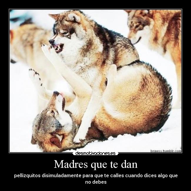 carteles tengo ideas por eso subo estas mierdas carteles los tipicos mios mydream clanredtroll desmotivaciones