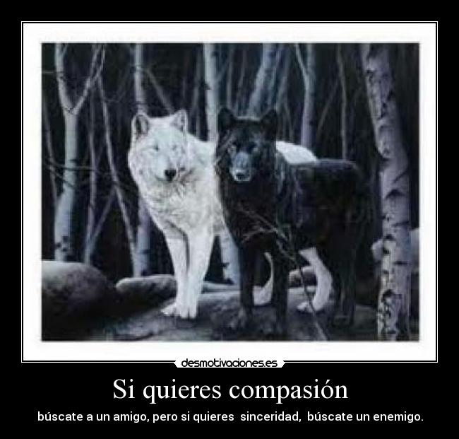 Si quieres compasión -
