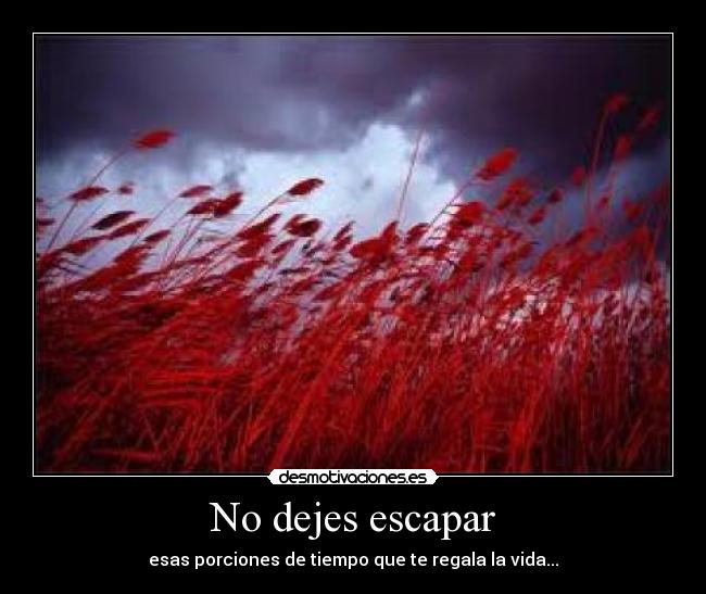 No dejes escapar - esas porciones de tiempo que te regala la vida...