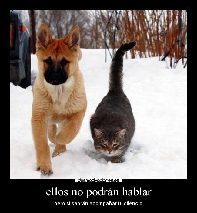 ellos no podrán hablar -