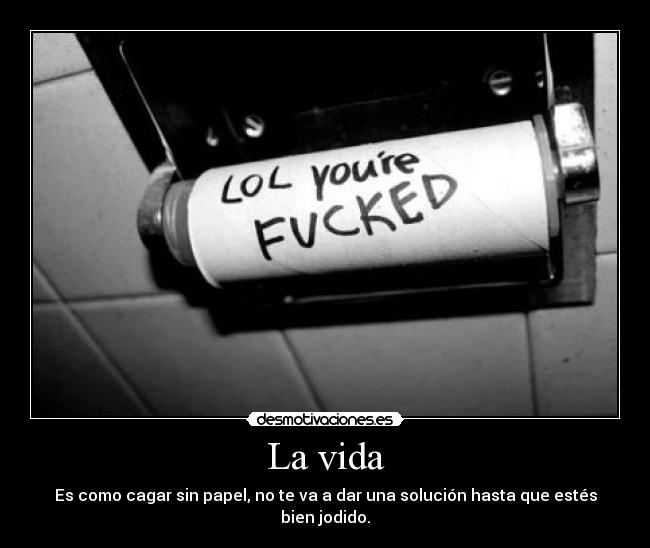 carteles vida nacanaca desmotivaciones