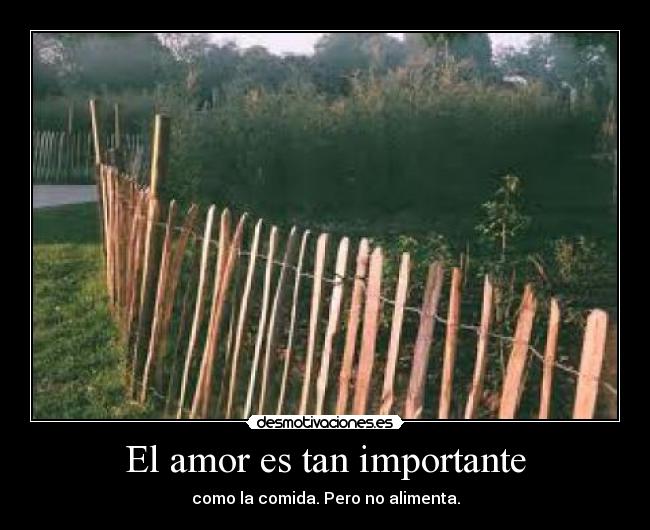 El amor es tan importante - como la comida. Pero no alimenta.