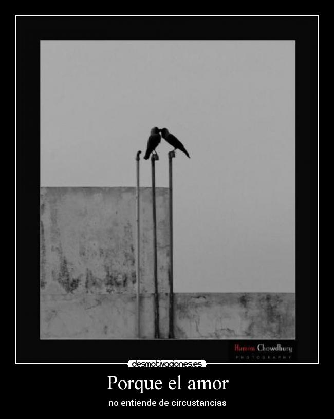 Porque el amor -