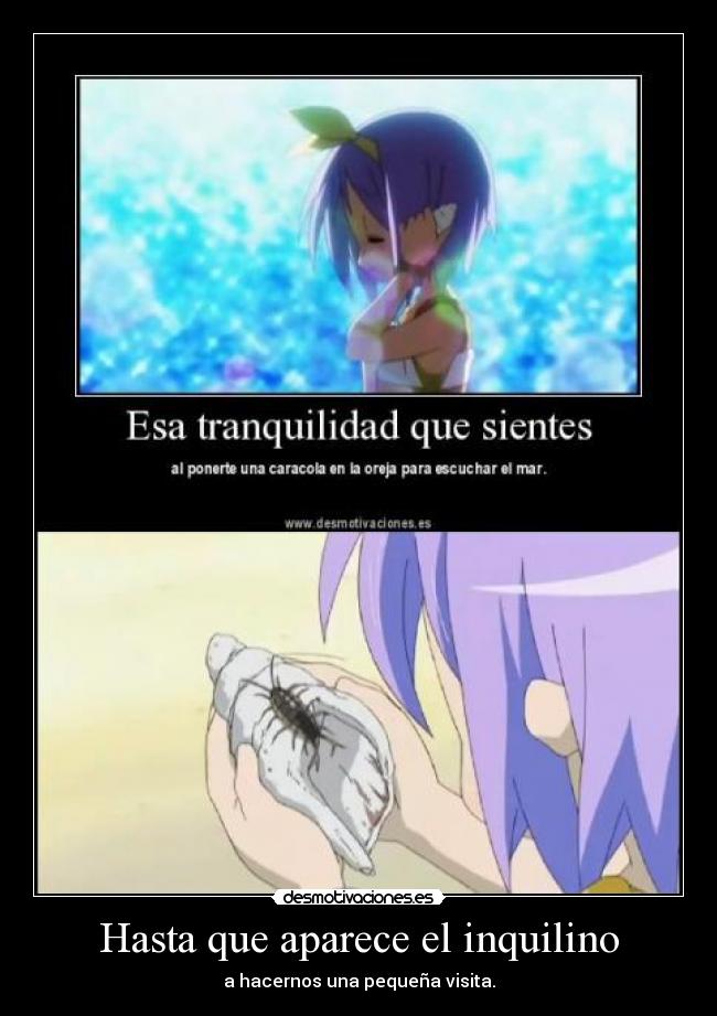 carteles gaararafez harukaze anime manga lucky star tsukasa desmotivaciones