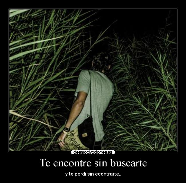 carteles desamor desmotivaciones