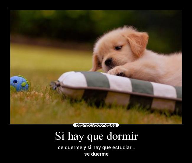 Si hay que dormir - se duerme y si hay que estudiar...
se duerme