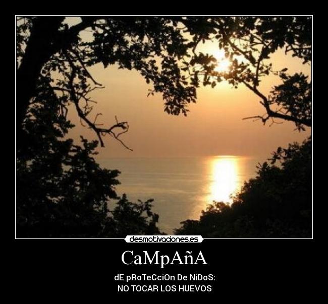 CaMpAñA - dE pRoTeCciOn De NiDoS:
NO TOCAR LOS HUEVOS