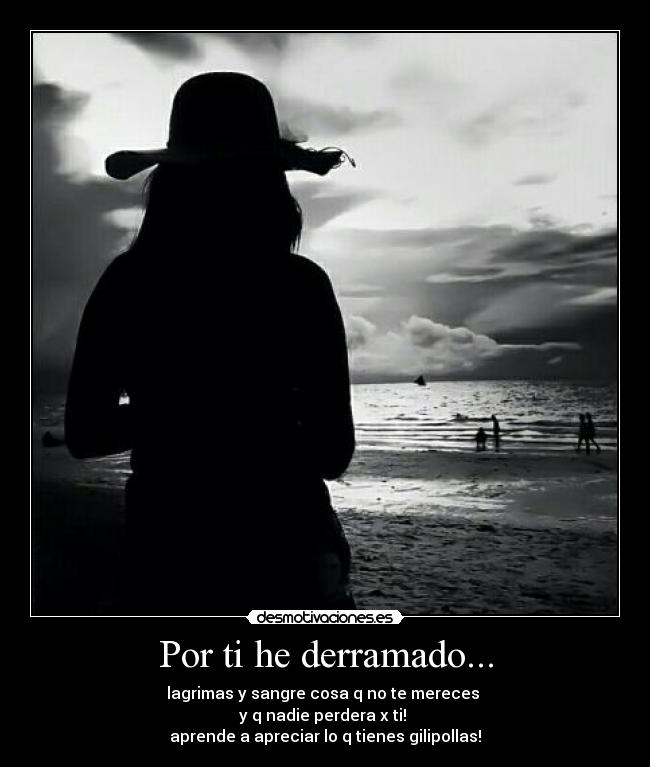 Por ti he derramado... - lagrimas y sangre cosa q no te mereces
y q nadie perdera x ti!
aprende a apreciar lo q tienes gilipollas!