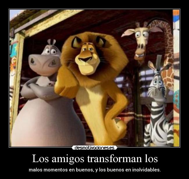 Los amigos transforman los - malos momentos en buenos, y los buenos en inolvidables.