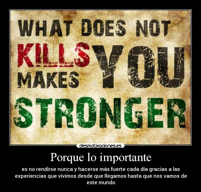 Porque lo importante - es no rendirse nunca y hacerse más fuerte cada día gracias a las
experiencias que vivimos desde que llegamos hasta que nos vamos de
este mundo