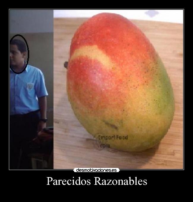 carteles tuki reggaton parecido mango desmotivaciones