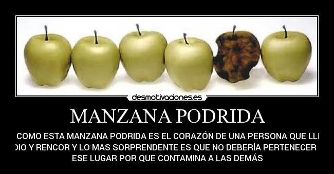 MANZANA PODRIDA -