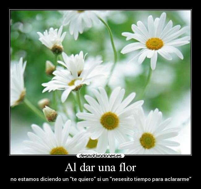 Al dar una flor - no estamos diciendo un te quiero si un nesesito tiempo para aclararme