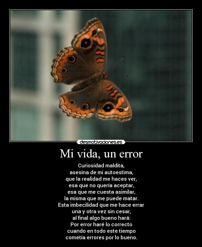 Mi vida, un error -