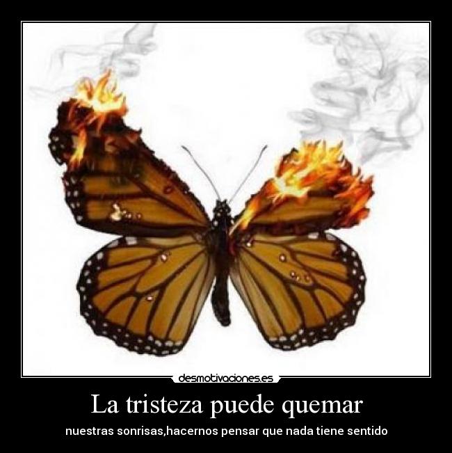 Imagenes Mariposas Tristes | la tristeza puede quemar desmotivaciones Imagenes Mariposas Tristes | la tristeza puede quemar desmotivaciones