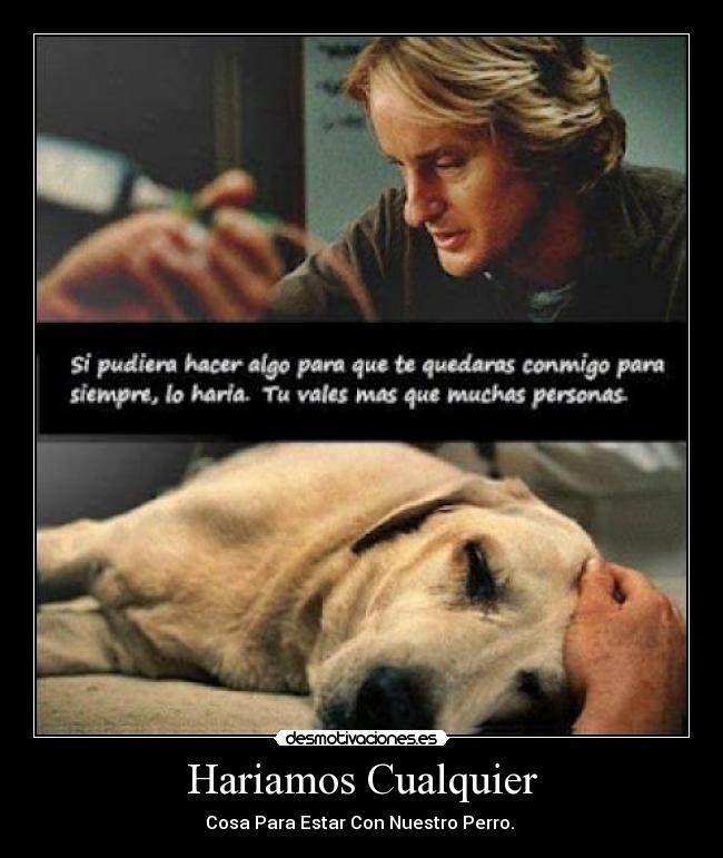 Hariamos Cualquier - 