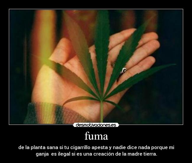 fuma - de la planta sana si tu cigarrillo apesta y nadie dice nada porque mi
ganja  es ilegal si es una creación de la madre tierra.