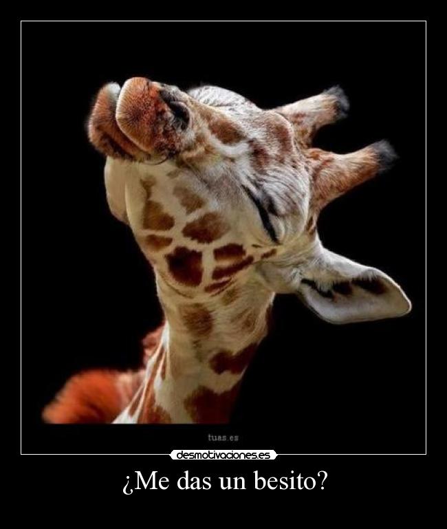 ¿Me das un besito? - 
