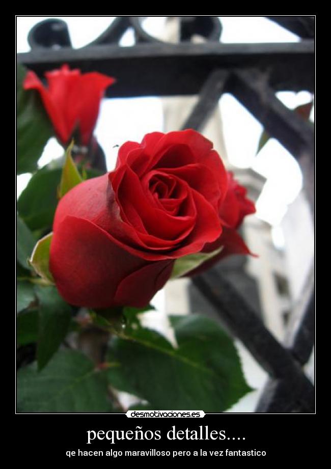 carteles detalles desmotivaciones