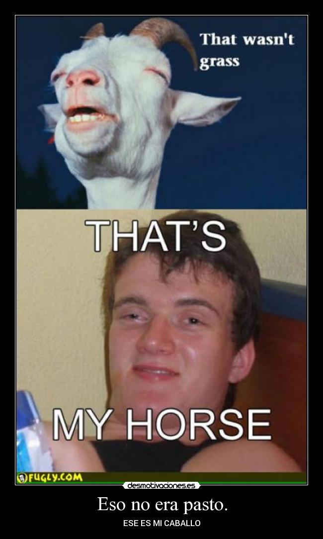 Eso no era pasto. -