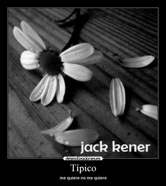 Típico - me quiere no me quiere