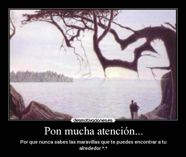 Pon mucha atención... - 
