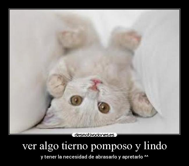 ver algo tierno pomposo y lindo - y tener la necesidad de abrasarlo y apretarlo ^^