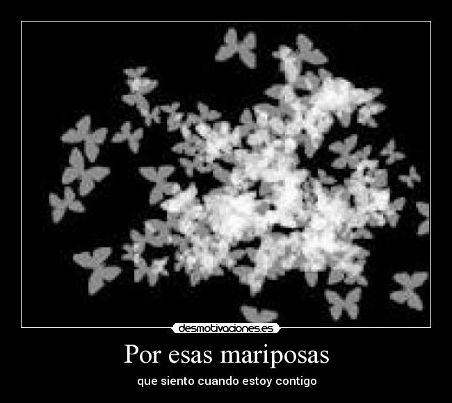 Por esas mariposas - que siento cuando estoy contigo