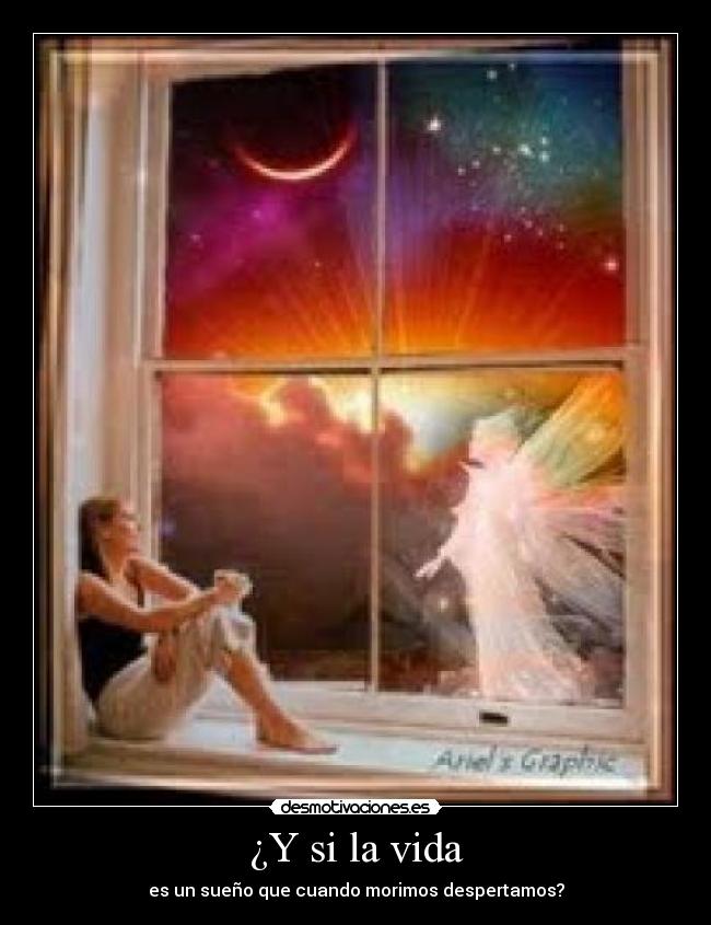 carteles vida vida desmotivaciones