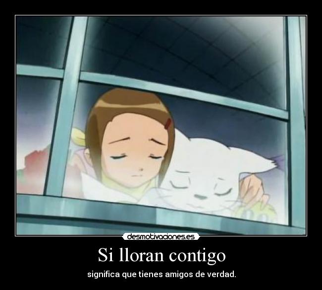 Si lloran contigo - significa que tienes amigos de verdad.