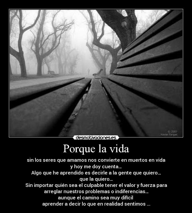 Porque la vida - sin los seres que amamos nos convierte en muertos en vida
y hoy me doy cuenta…
Algo que he aprendido es decirle a la gente que quiero…
que la quiero…
Sin importar quién sea el culpable tener el valor y fuerza para
arreglar nuestros problemas o indiferencias…
aunque el camino sea muy difícil 
aprender a decir lo que en realidad sentimos ...