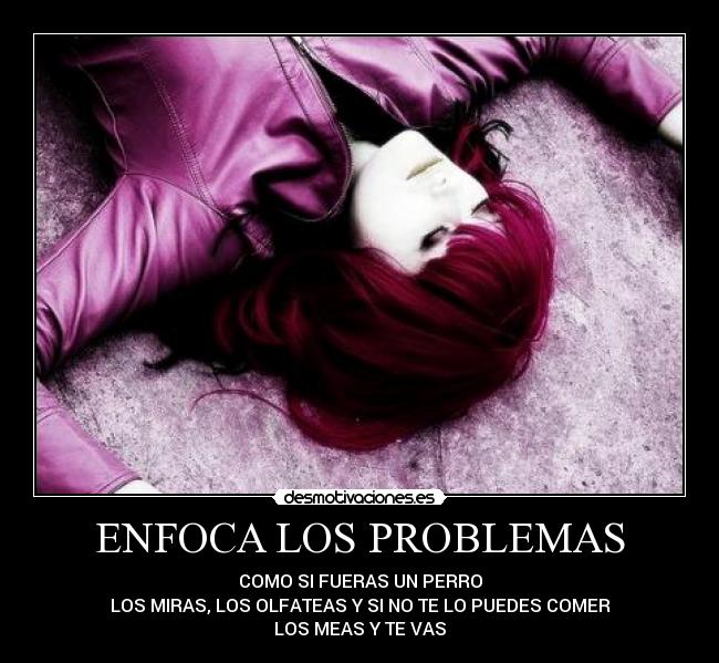 carteles problemas enfoca problemas perros perritos miras olfateas hueles puedes comer meas vas desmotivaciones