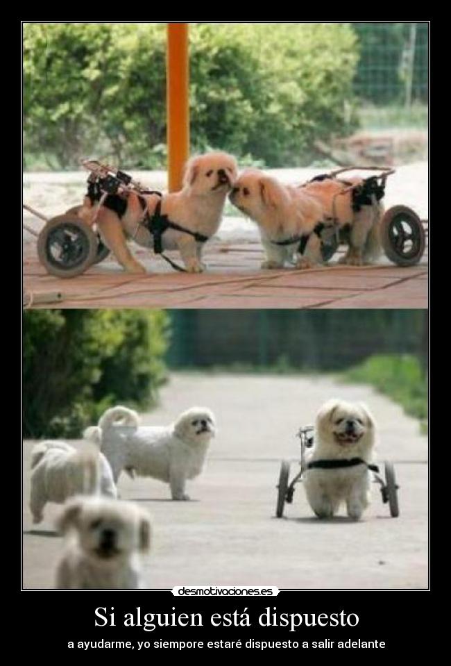 Si alguien está dispuesto - a ayudarme, yo siempore estaré dispuesto a salir adelante