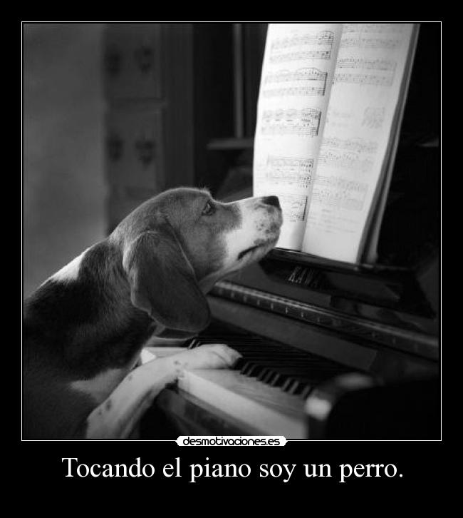 carteles perrunistica desmotivaciones