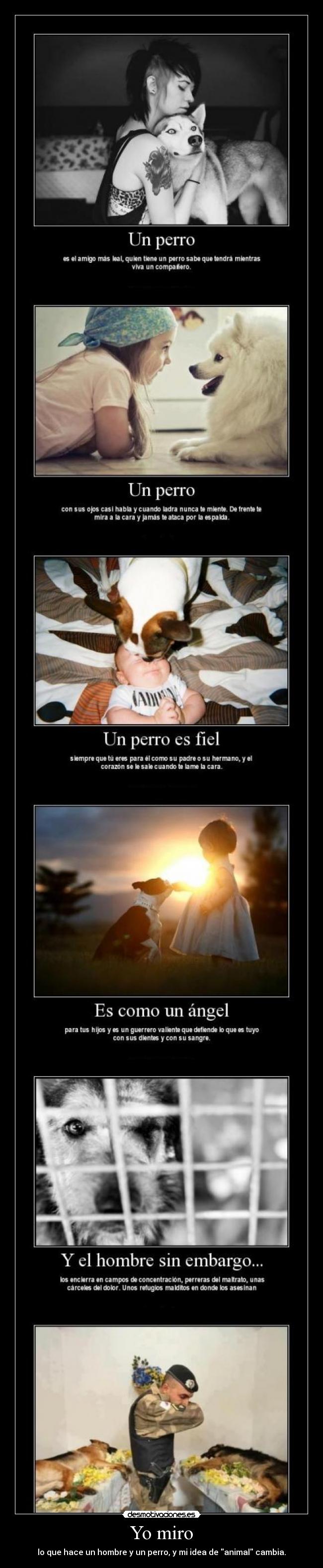 Yo miro - lo que hace un hombre y un perro, y mi idea de animal cambia.