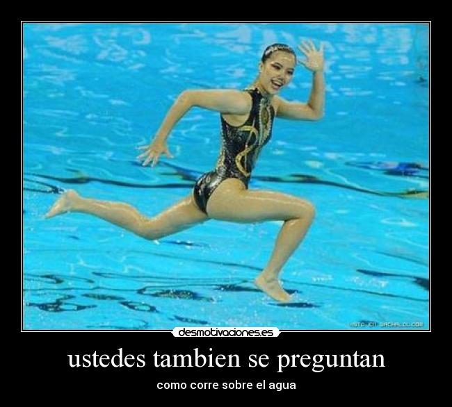 ustedes tambien se preguntan -